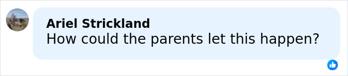 Comment on social media post questioning how parents allowed a tragic event involving stepbrother obsession to occur.