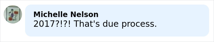 Comment by Michelle Nelson expressing concern about due process in 2017 related to celebrity chef slaying family case.