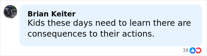 Comment from Brian Keiter about consequences for young school kids involved in a mob attack after pregnant woman incident.
