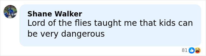 Comment stating that Lord of the Flies taught that kids can be very dangerous, reflecting on young school kids attacking.