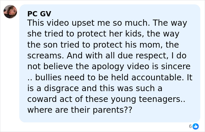 Comment expressing anger over bullying, calling for accountability and questioning parents after mob attack on pregnant woman.