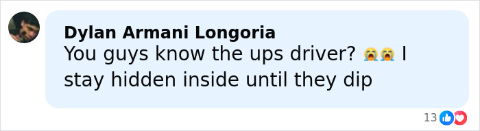 Comment from Dylan Armani Longoria about the UPS driver, referencing a hidden message or story related to Glenn Powell and SNL.