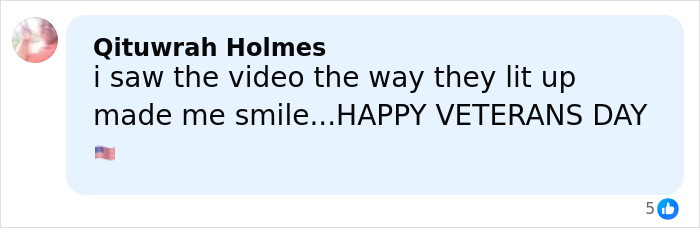Comment praising video of Barack Obama surprising plane full of war veterans, expressing happiness for Veterans Day.