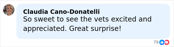 Comment expressing appreciation for veterans, describing their excitement and gratitude after a great surprise moment.