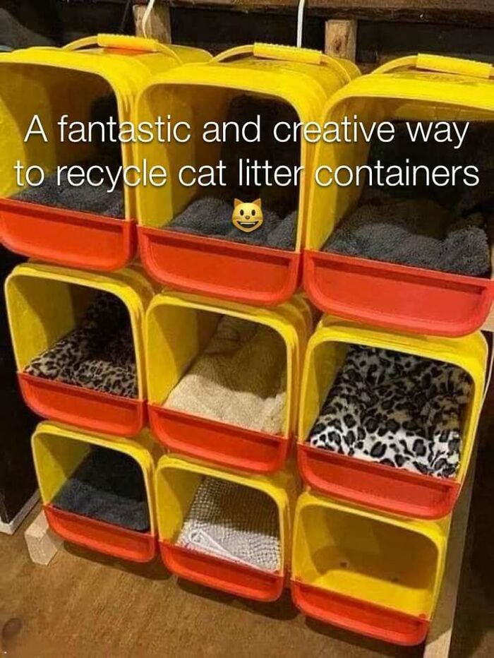 Creative cat meme showing recycled cat litter containers turned into cozy cat beds with blankets inside.