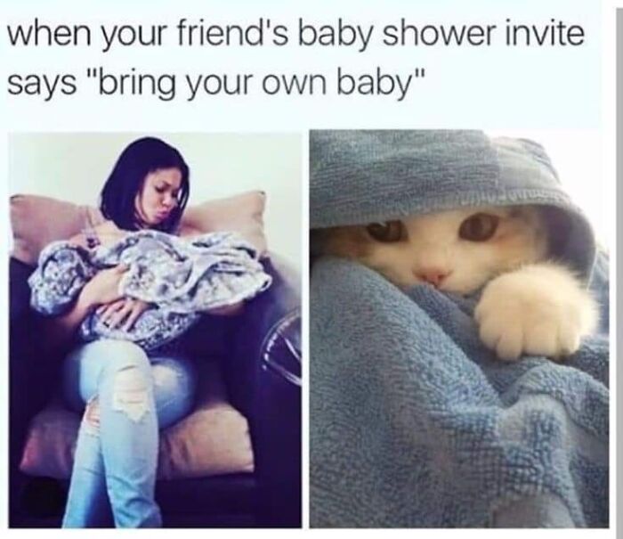 Woman holding a wrapped cat like a baby and a cat peeking from a blanket, fitting cat memes for a fun day online.