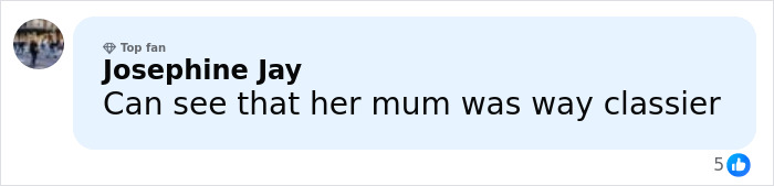 Fan comment on social media about Claudia Schiffer&rsquo;s lookalike daughter&rsquo;s racy outfit, calling her mum classier.