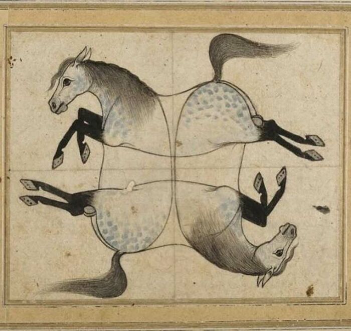 Illustration of very old objects showing two mirrored horses in an ancient drawing revealing historical art styles.
