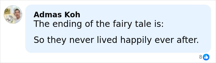 Comment by Admas Koh saying the ending of the fairy tale is they never lived happily ever after on social media.