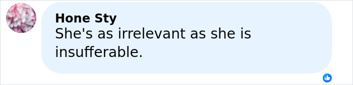 Alt text: A social media comment criticizing Meghan Markle's celebration with Prince Harry, calling it irritating and staged by many.