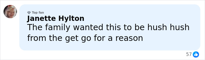 Screenshot of a social media comment from Janette Hylton discussing a hush hush family matter related to stepsibling investigation.