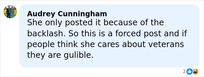 Screenshot of a social media comment criticizing Meghan Markle's Veterans Day post amid backlash regarding Prince Harry.
