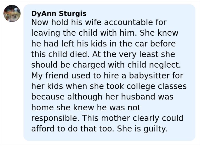 Comment on a social media post discussing accountability in a tragic case of a dad fatally leaving 2YO daughter in car. Comment on a social media post discussing accountability in a tragic case of a dad fatally leaving 2YO daughter in car.