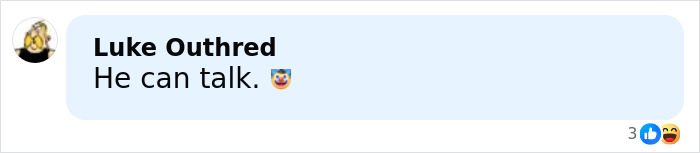 Comment by Luke Outhred about Tom Cruise breaking silence on Nicole Kidman's split from Keith Urban, with reaction emojis.