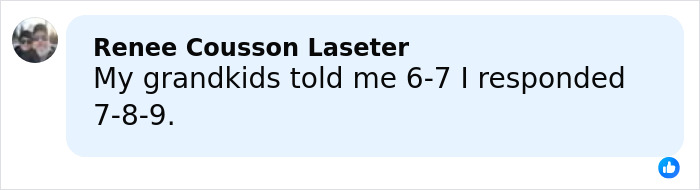 Screenshot of a social media comment referencing the viral 6,7 meme with a humorous reply 7-8-9.