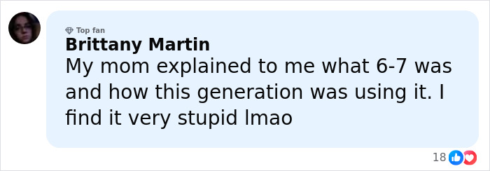 Comment by Brittany Martin explaining the viral 6-7 meme and generational differences in understanding it online.