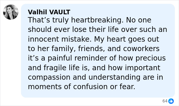 Alt text: Comment expressing sympathy over cleaning lady losing her life tragically due to an innocent mistake, highlighting compassion needed.