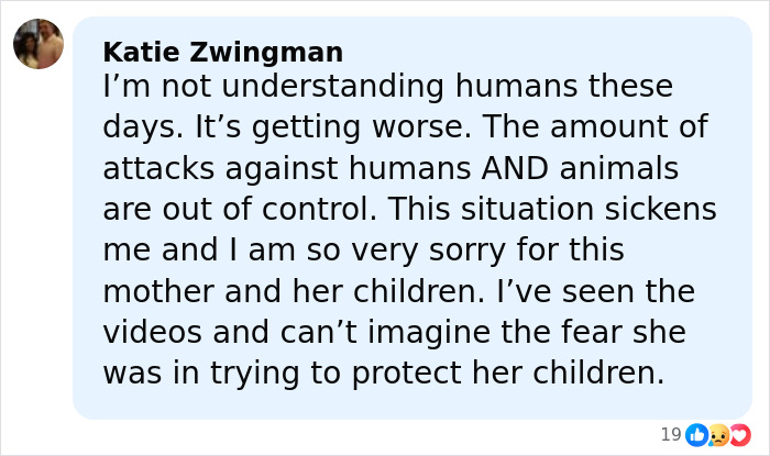 Comment expressing concern over attacks on a pregnant woman jumped by a mob of young school kids.