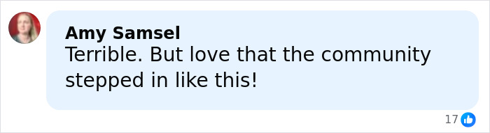 Comment from Amy Samsel expressing support for community intervention after pregnant woman attacked by school kids.