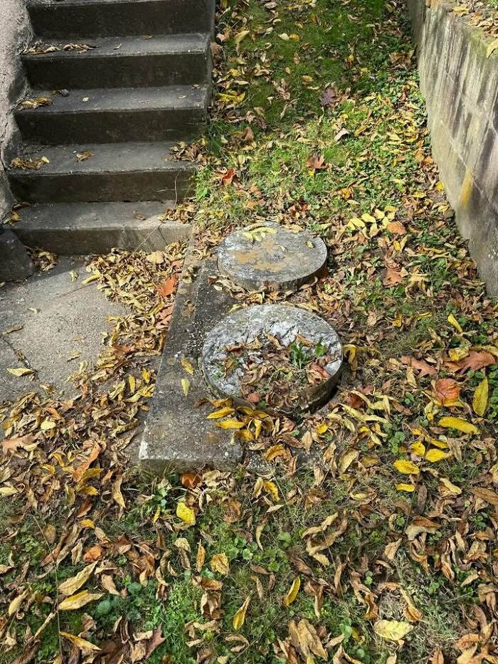 Concrete stairs and circular stone covers surrounded by scattered autumn leaves, illustrating messy moments outside therapy settings.
