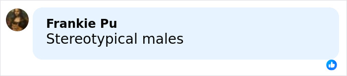 Comment by Frankie Pu reading stereotypical males on a social media platform with a blurred profile picture.