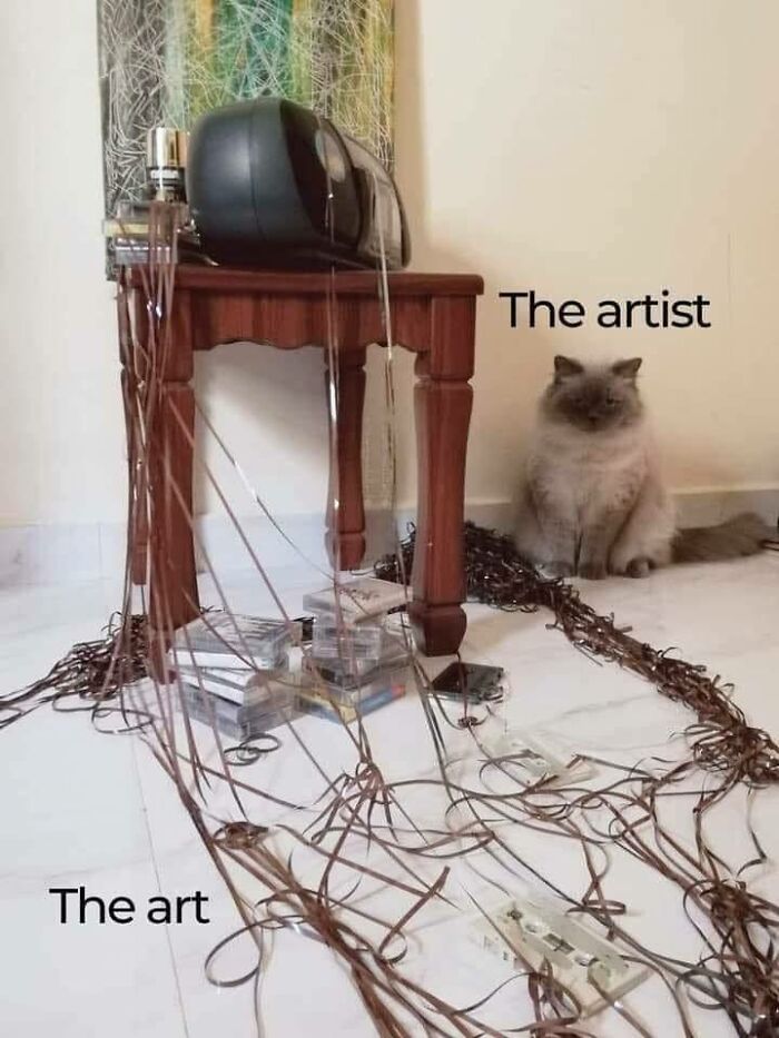 Cat meme showing a fluffy cat labeled the artist next to tangled cassette tapes labeled the art, perfect for cat meme lovers.