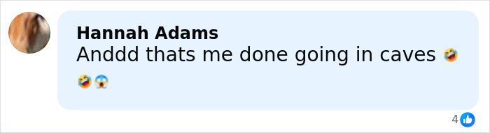 Comment from Hannah Adams expressing fear and deciding not to go in caves after seeing the world&rsquo;s biggest spider web, with laughing and shocked emojis.