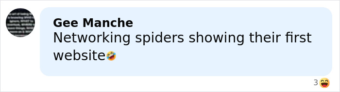 Comment about networking spiders humorously referencing website creation, related to the world&rsquo;s biggest spider web discovery.