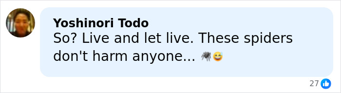 Comment by Yoshinori Todo discussing spiders peacefully coexisting, accompanying a post about the world&rsquo;s biggest spider web discovery.