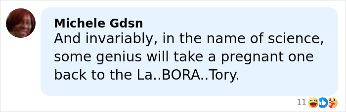 Comment by Michele Gdsn expressing concern about science and referencing a pregnant spider in relation to the world&rsquo;s biggest spider web.