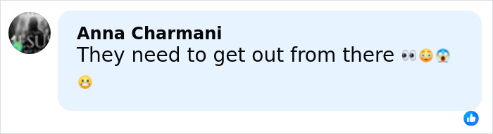 Comment on post about the world&rsquo;s biggest spider web, expressing concern with eye, shocked, and scared face emojis.