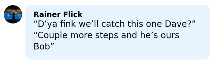 Comment box with user Rainer Flick joking about catching someone named Dave, referencing the world&rsquo;s biggest spider web discovery.