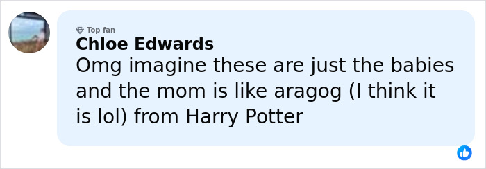Comment from Chloe Edwards mentioning spider babies and Aragog from Harry Potter, relating to the world&rsquo;s biggest spider web.