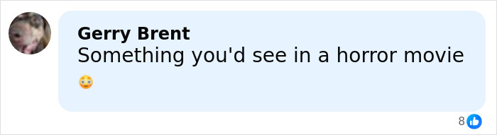 Comment by Gerry Brent expressing shock about a tragic father and son zip-lining incident.