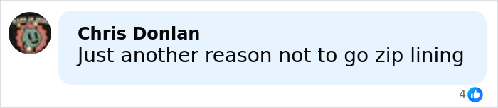 Comment by Chris Donlan expressing concern about zip lining safety following a tragic incident involving a father and son.