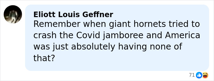 Comment about giant hornets disrupting a Covid event, expressing strong disapproval and highlighting America's resistance.