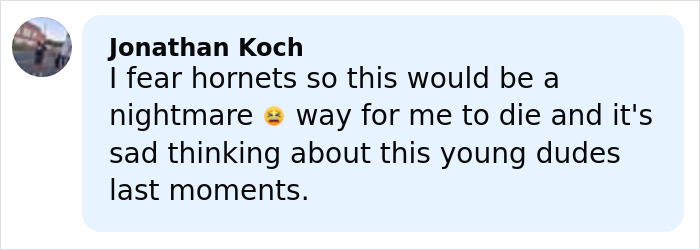 Comment expressing fear of hornets and sadness over a father and son, 15, losing their lives in a tragic zip-lining incident.