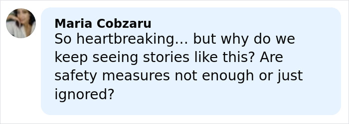 Comment by Maria Cobzaru expressing concern about safety measures in tragic father and son zip-lining incident.