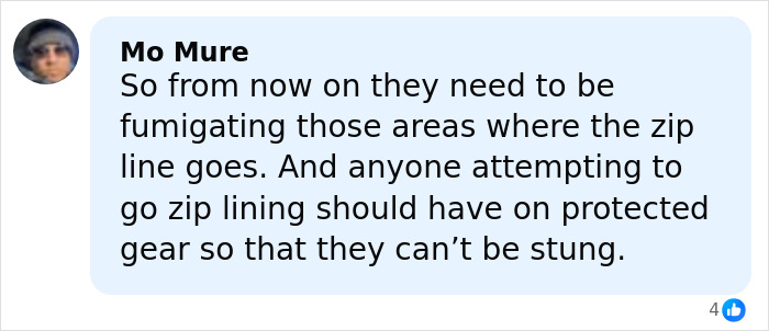 Comment by Mo Mure discussing the need for fumigating zip line areas and wearing protective gear during zip-lining activities.