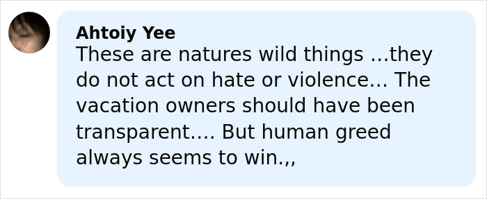 Comment discussing nature's innocence and criticizing vacation owners' lack of transparency amid a tragic zip-lining incident.