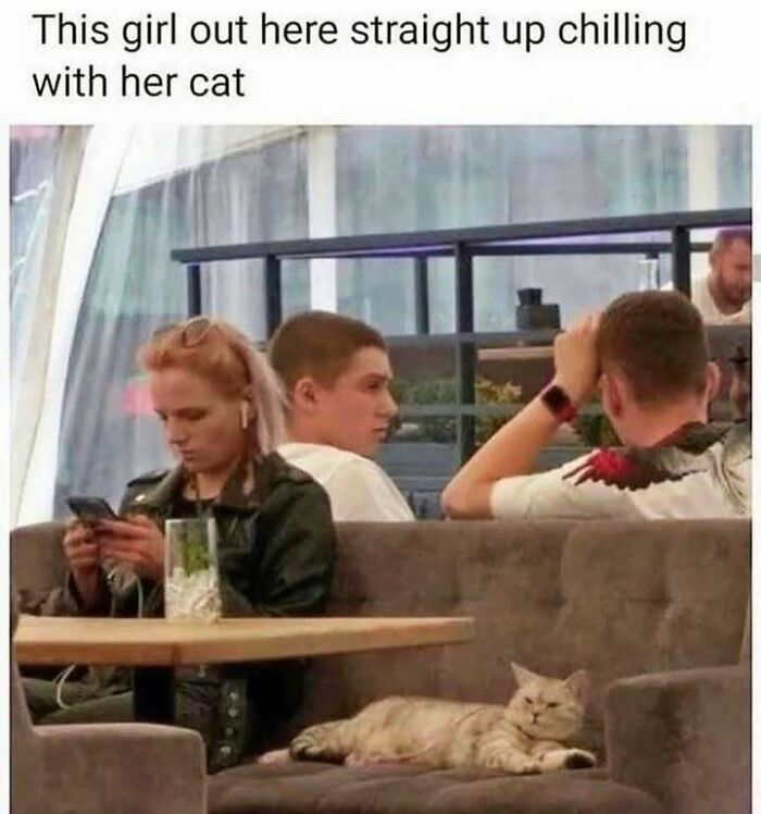Woman chilling with her cat on a couch while looking at her phone, matching the vibe of popular cat memes and pics.