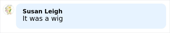Comment box showing user Susan Leigh replying with "It was a wig" on a light blue background.