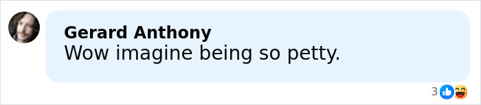 Screenshot of a social media comment reading wow imagine being so petty related to Sydney Sweeney and Zendaya feud controversies.