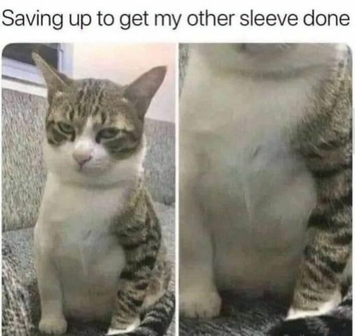 A cat sitting with a serious expression next to a close-up of its paw, funny cat memes for a fun day.