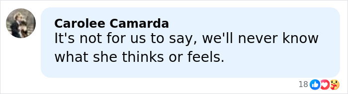 Comment from Carolee Camarda saying they will never know what a woman born without most of her brain thinks or feels.