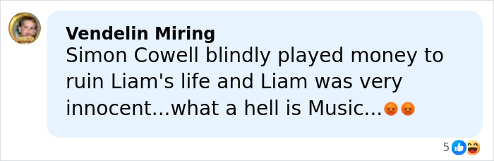 Comment by Vendelin Miring blaming Simon Cowell for Liam Payne's mental collapse, expressing anger about the music industry.