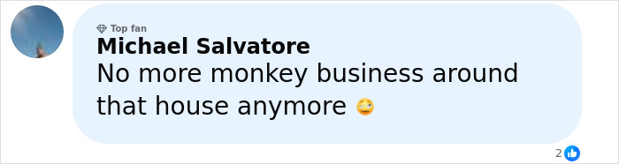 Comment from a top fan Michael Salvatore expressing relief about no more monkey business around the house after incident online.