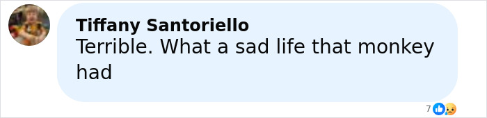 Screenshot of online comment by Tiffany Santoriello expressing sadness about the escaped research monkey incident.