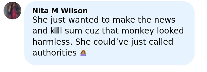 Comment from Nita M Wilson criticizing woman who slayed escaped research monkey to protect children.