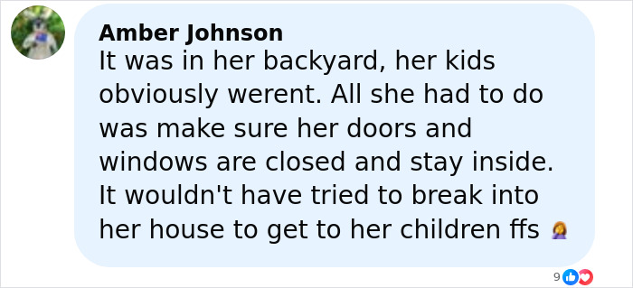 Online comment by Amber Johnson debating woman protecting children from escaped research monkey in backyard incident.